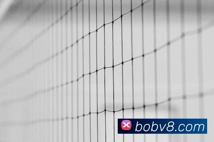半岛· bob综合体育官方网站平台生态图
