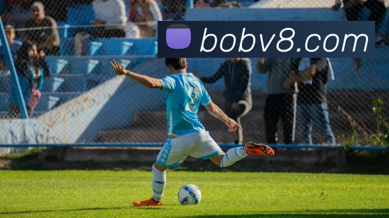 半岛· bob综合体育官方网站全站App